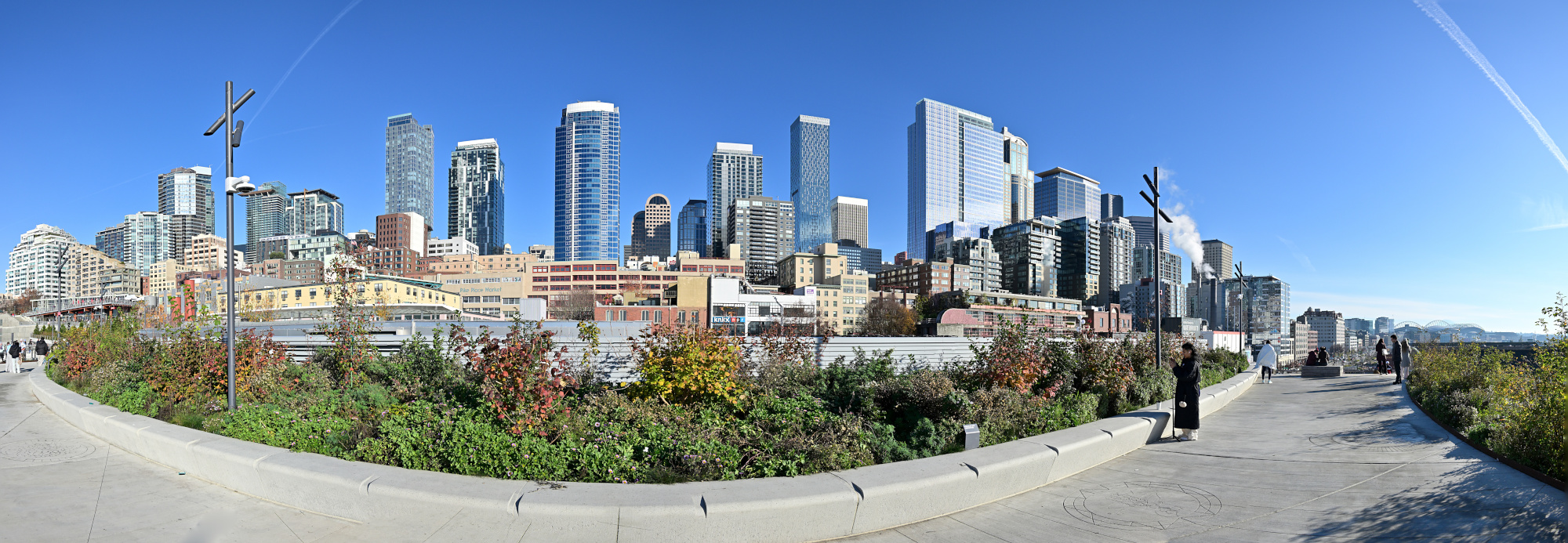 Seattle Skyline and Market on a Sunny Sunday - Borbin the 🐱